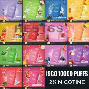 isgo bar 10000 puffs new disposable vapes