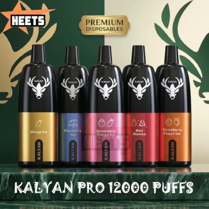 KALYAN PRO 12000 PUFFS