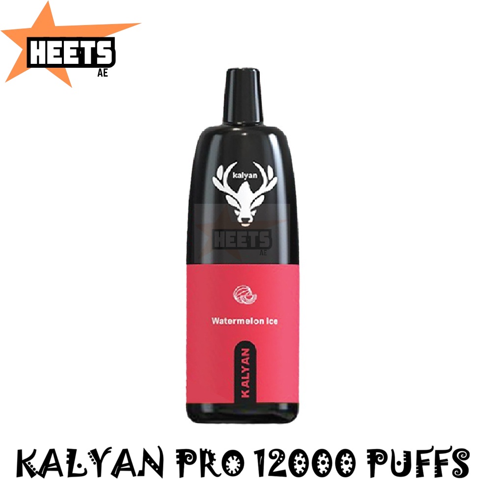 KALYAN PRO 12000 PUFFS - Image 3